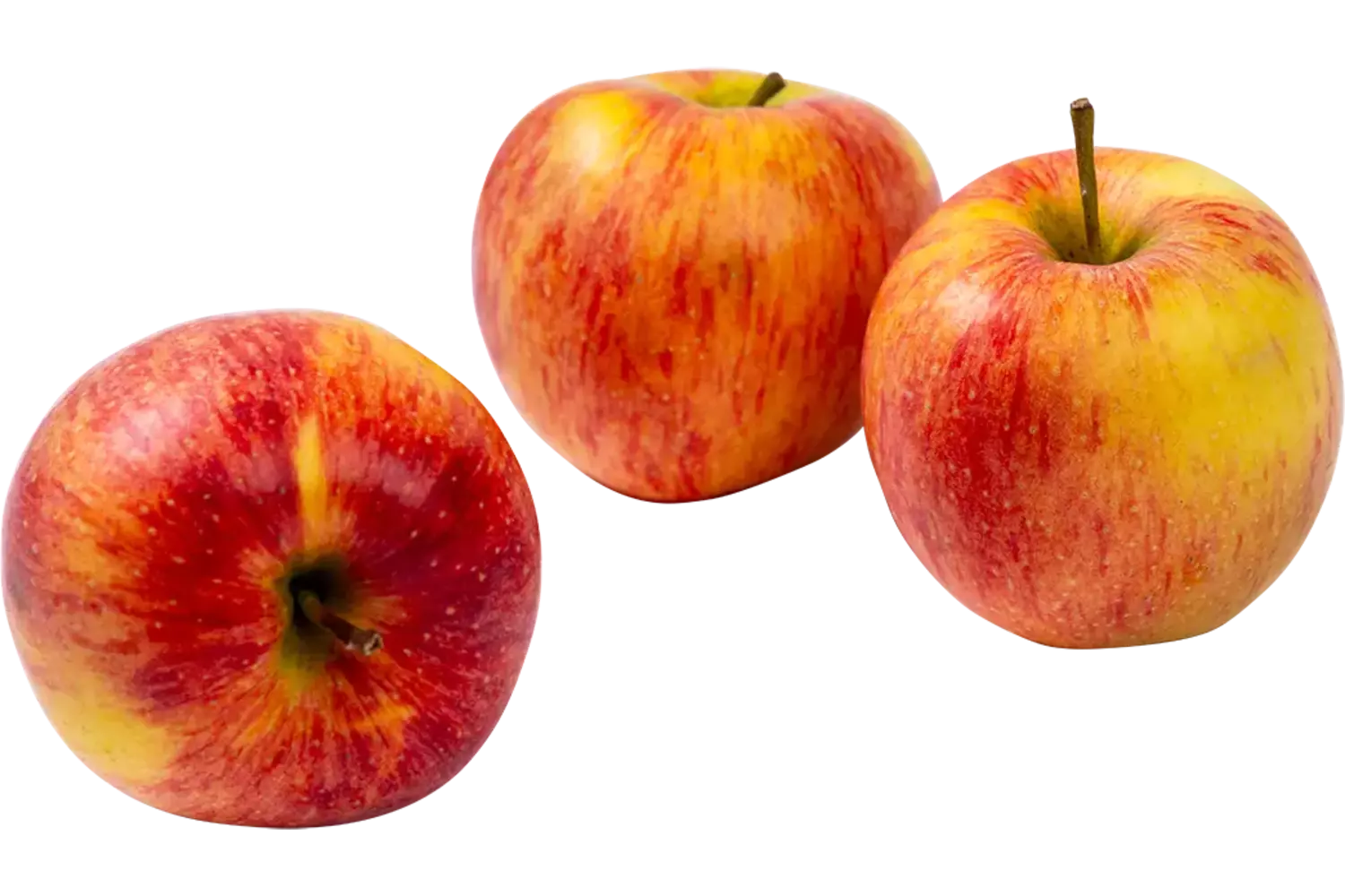 Bloss appels 75-80 verpakt 6st stuk 1